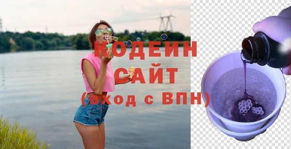 соль ск Бородино