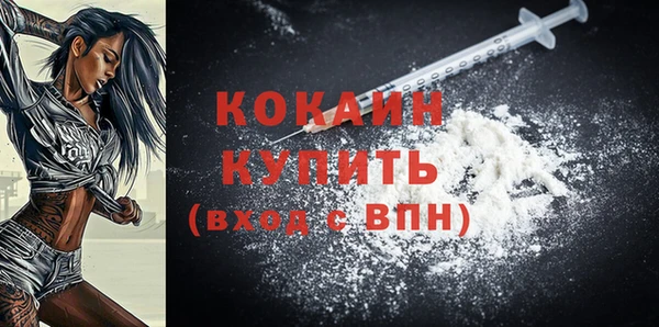 гидра Бронницы