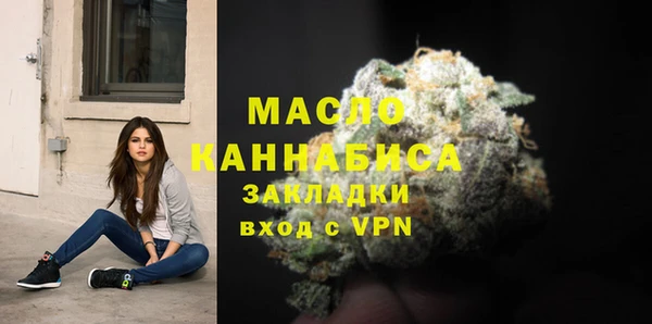 гидра Бронницы