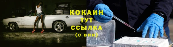 гидра Бронницы