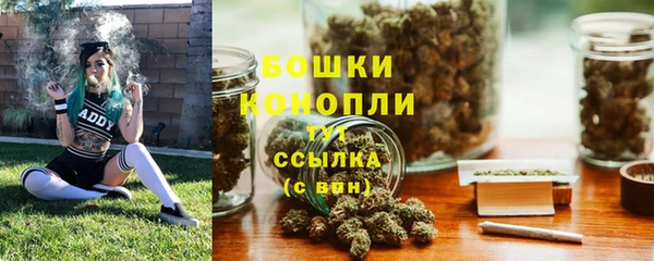 соль ск Бородино
