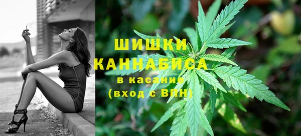 соль ск Бородино