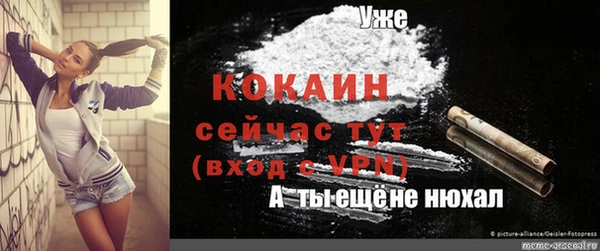 соль ск Бородино