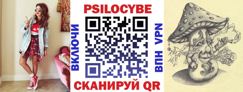 хочу наркоту  Павловская  Псилоцибиновые грибы GOLDEN TEACHER 